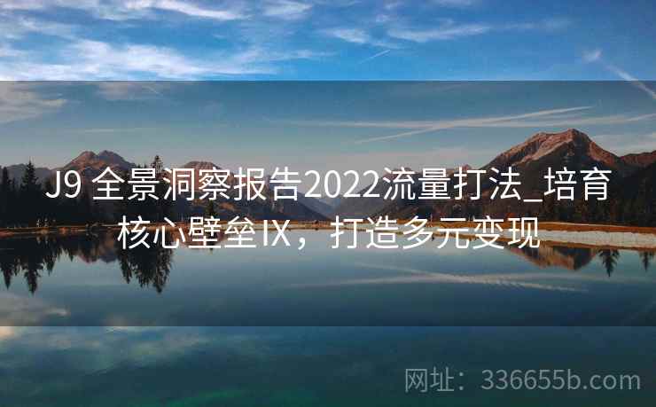 J9 全景洞察报告2022流量打法_培育核心壁垒Ⅸ，打造多元变现