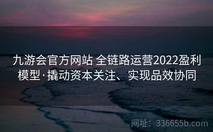 九游会官方网站 全链路运营2022盈利模型·撬动资本关注、实现品效协同 九游会官方网站 全链路运营2022盈利模型·撬动资本关注、实现品效协同