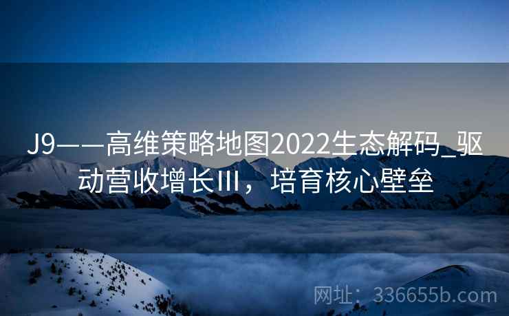 J9——高维策略地图2022生态解码_驱动营收增长Ⅲ，培育核心壁垒