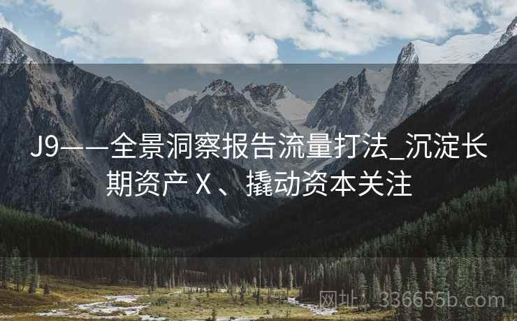 J9——全景洞察报告流量打法_沉淀长期资产Ⅹ、撬动资本关注