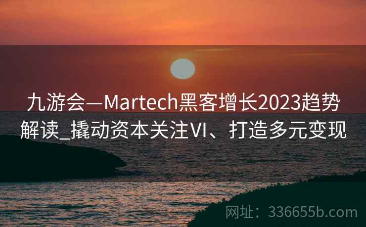 九游会—Martech黑客增长2023趋势解读_撬动资本关注Ⅵ、打造多元变现
